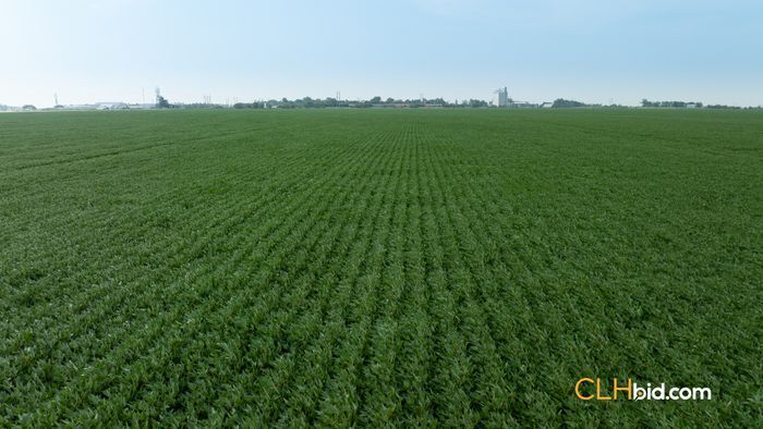 Selling Online Sept 24, 2024 - 821 Acres - Brunkild, MB