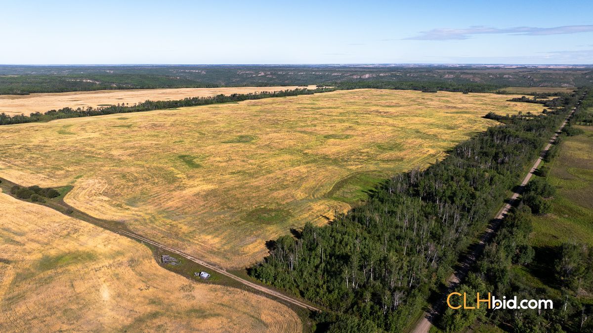 Selling Online Oct 10, 2024 - 945 Acres - Belloy, AB