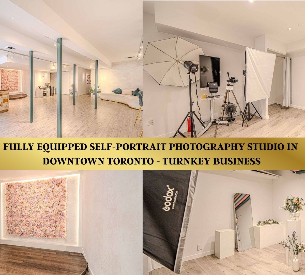 Self-Portrait Phototgraphy Business For Sale
