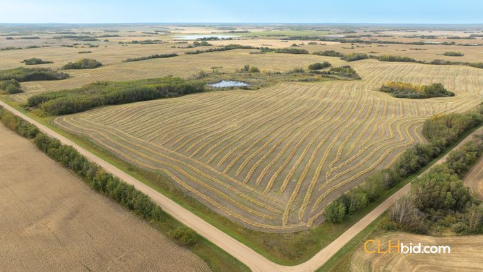 Selling Online Nov 20, 2024 - 320 Acres - Innisfree, AB