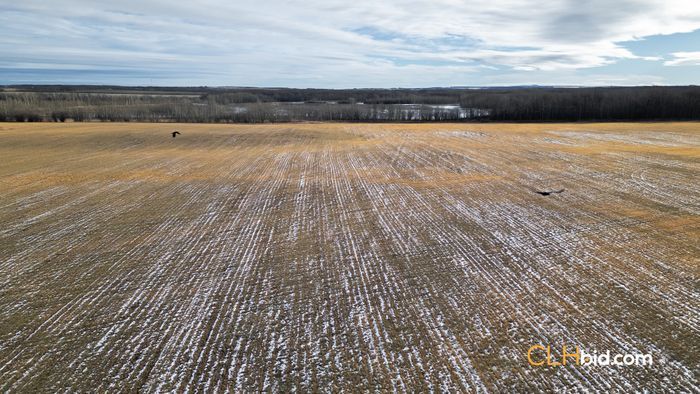 Selling Online March 5, 2025 - 474 Acres - Cecil Lake, BC