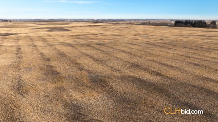 Selling Online Feb 12, 2025 - 318 Acres - Vegreville, AB