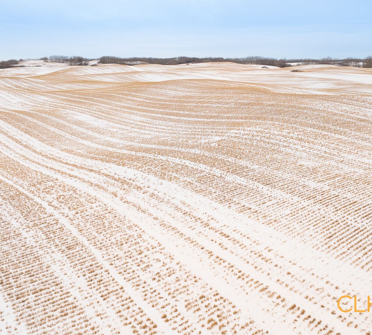 Selling Online Feb 13, 2025 - 163 Acres - Innisfree, AB