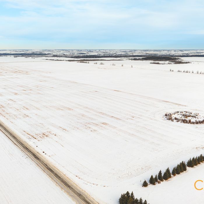 Selling Online Feb 25, 2025 - 316 Acres - Two Hills, AB