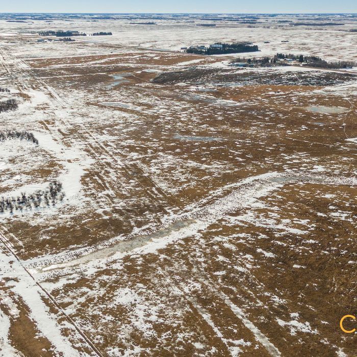 Selling Online March 26, 2025 - 119 Acres - Vegreville, AB