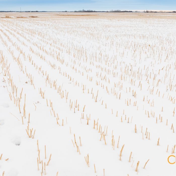 Selling Online July 22, 2025 - 160 Acres - Lamont, AB