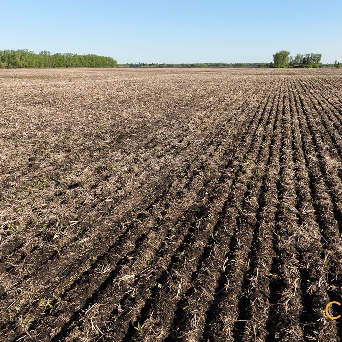 Selling Online July 22, 2025 - 160 Acres - Lamont, AB