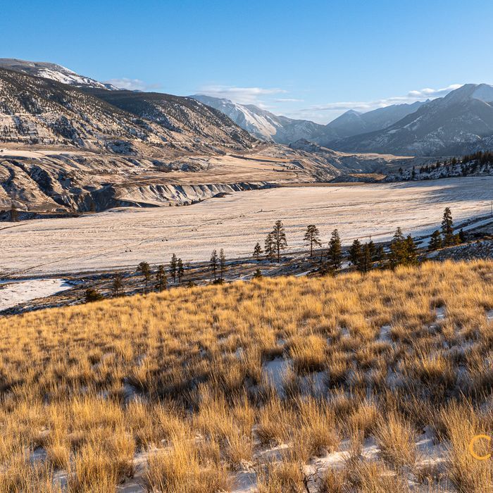 Selling Online June 26, 2025 - 24,228 Acres - Lillooet, BC