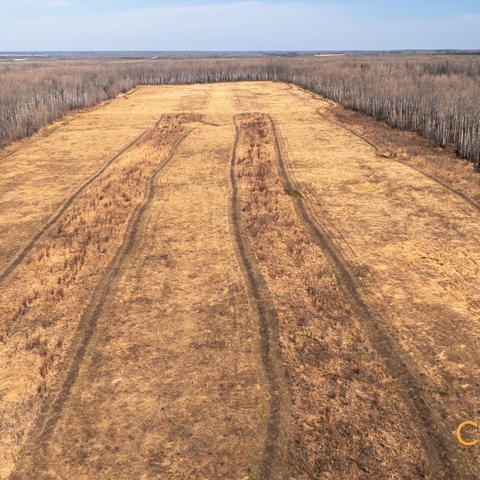 Selling Online May 15, 2025 - 320 Acres - Nampa, AB
