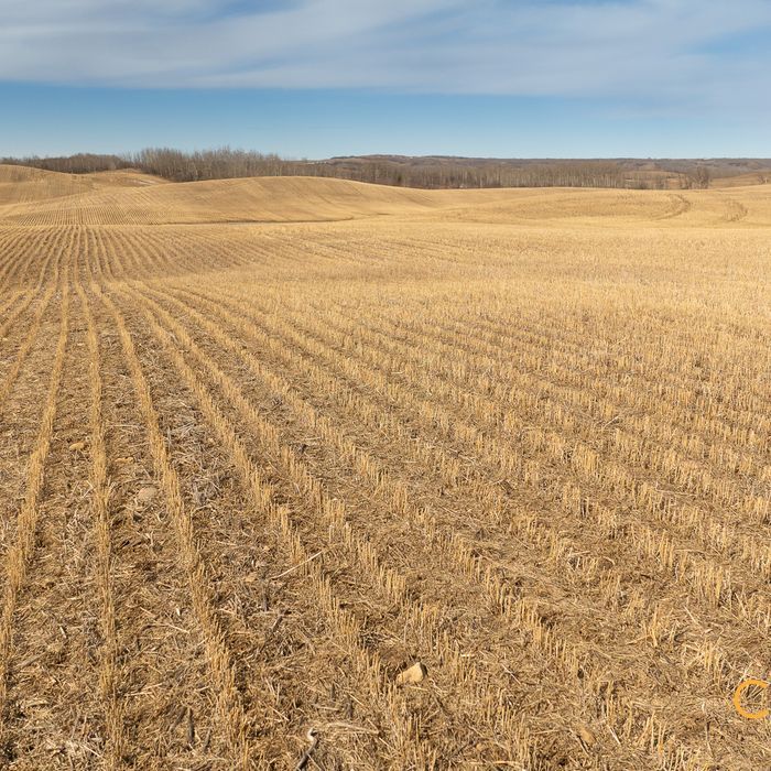 Selling Online May 7, 2025 - 155 Acres - St Paul