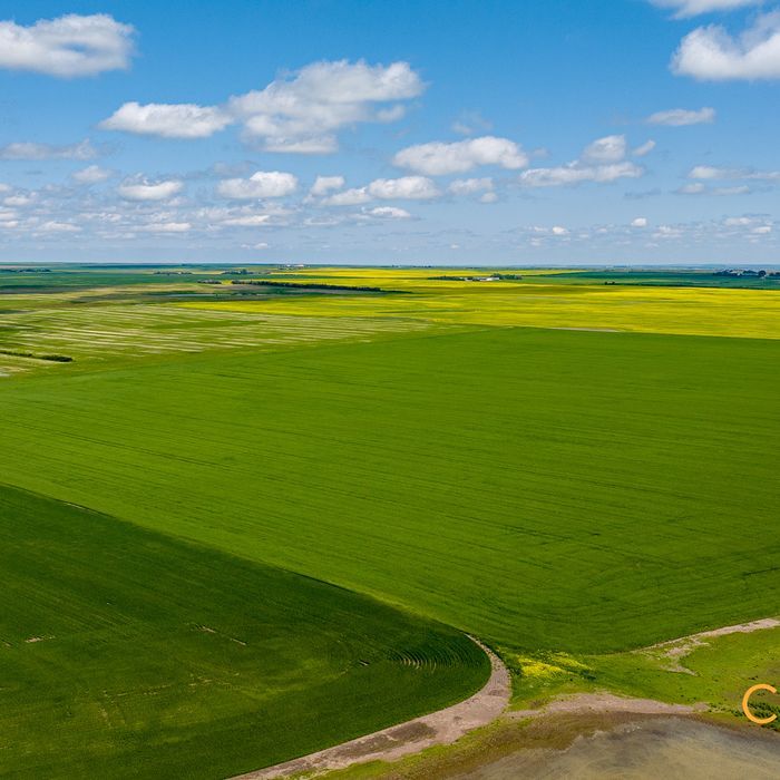 Selling Online July 10, 2025 - 1,116 Acres - Lucky Lake, SK