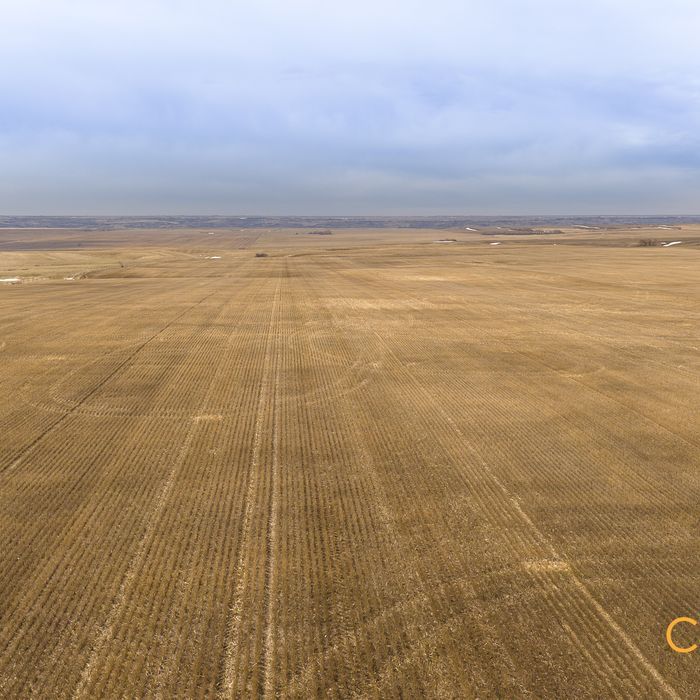 Selling Online July 10, 2025 - 1,116 Acres - Lucky Lake, SK