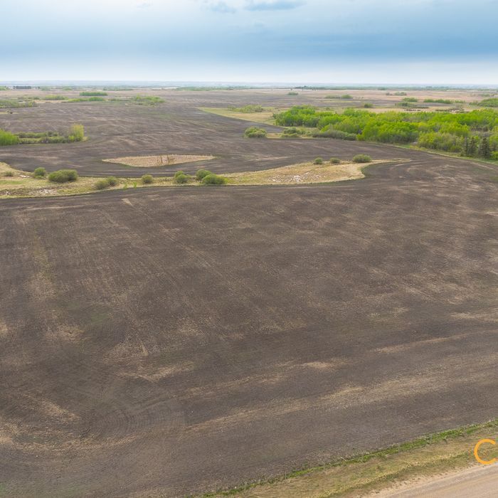 Selling Online June 11, 2025 - 159 Acres - Ryley, AB