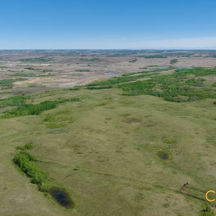 Selling Online July 30, 2025 - 159 Acres - Vermilion, AB