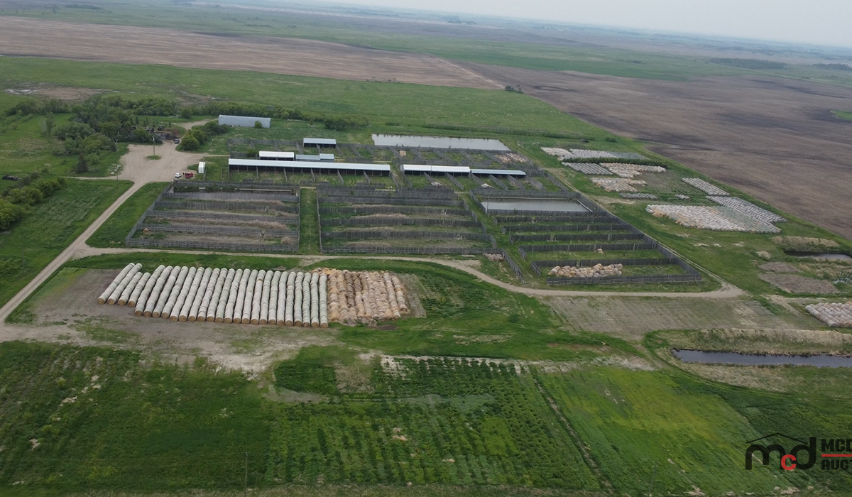 Real Estate Auction - Farmland Quarter and Feedlot