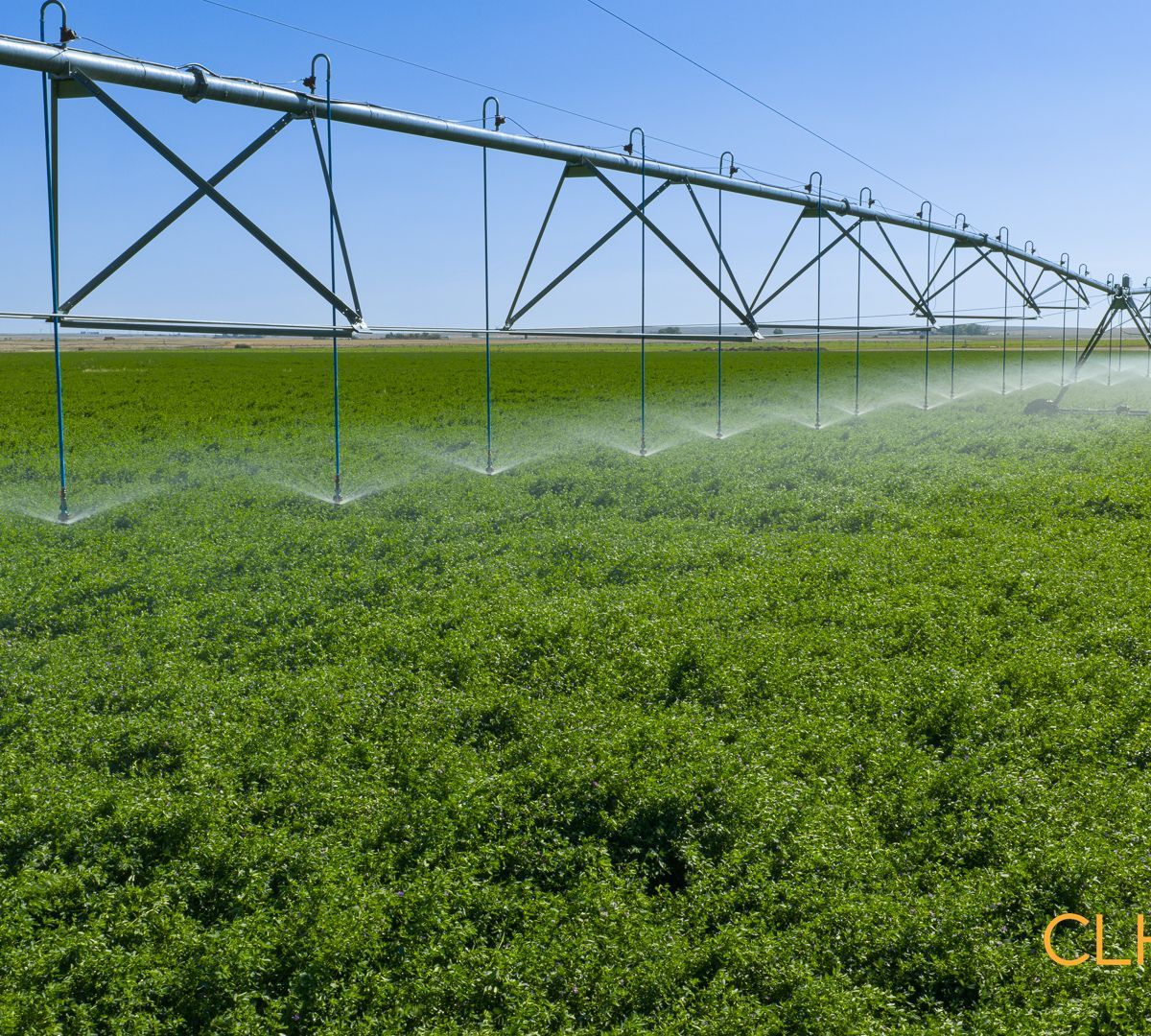 Selling Online Oct 7, 2025 - 1331 Acres - Bow Island, AB