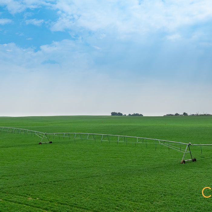 Selling Online Oct 7, 2025 - 691 Acres - Bow Island, AB