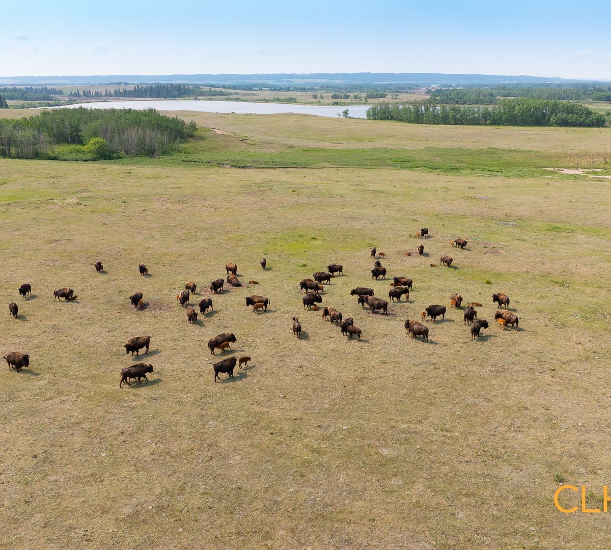 Selling Online Oct 15, 2025 - 1,442 Acres - Paradise Hill, SK