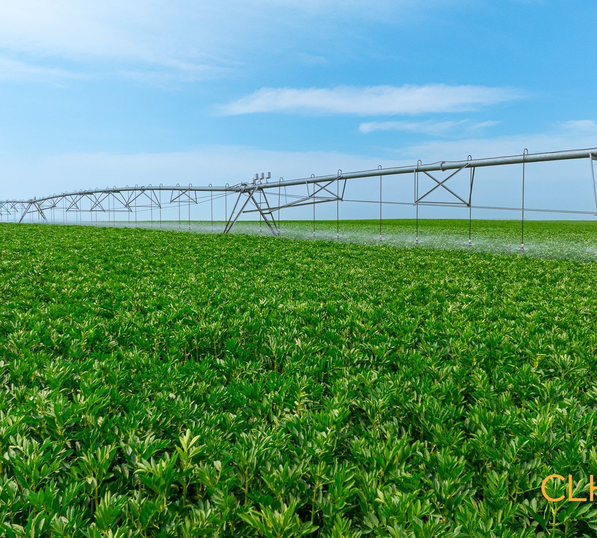 Selling Online Aug 14, 2025 - 172 Irrigation Acres - Taber, AB (SMRID)
