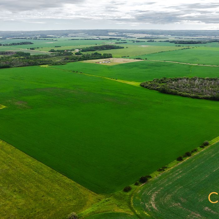 Selling Online Sept 24, 2025 - 453 Acres - West County of GP, AB