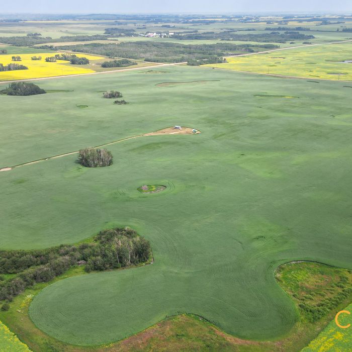 Selling Online Aug 27, 2025 - 159 Acres - Wainwright, AB