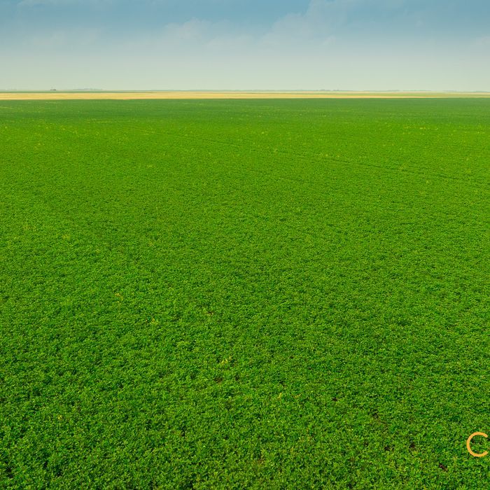 Selling Online Sept 11, 2025 - 158 Acres - Rosenort, MB