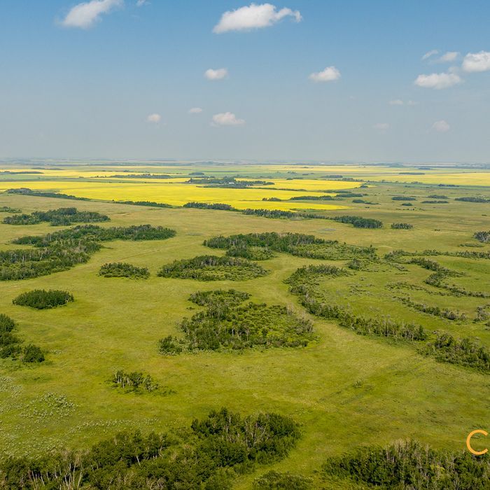 Selling Online Oct 21, 2025 - 157 Acres - Paswegin, SK