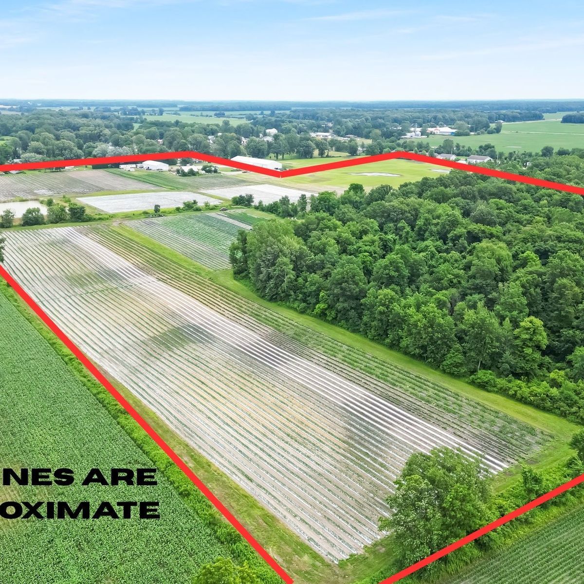69 Acres Certified Organics - 17 Acres severance - Development Potenti