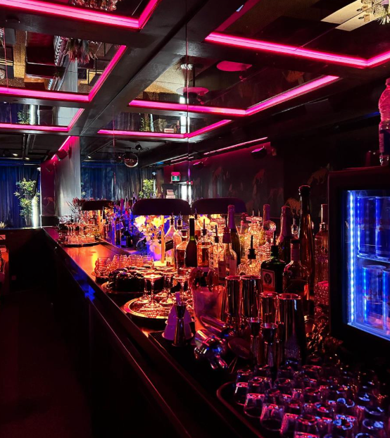 Night Club For sale in Toronto