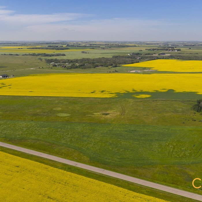 Selling Online Oct 1, 2025 - 298 Acres - Didsbury, AB