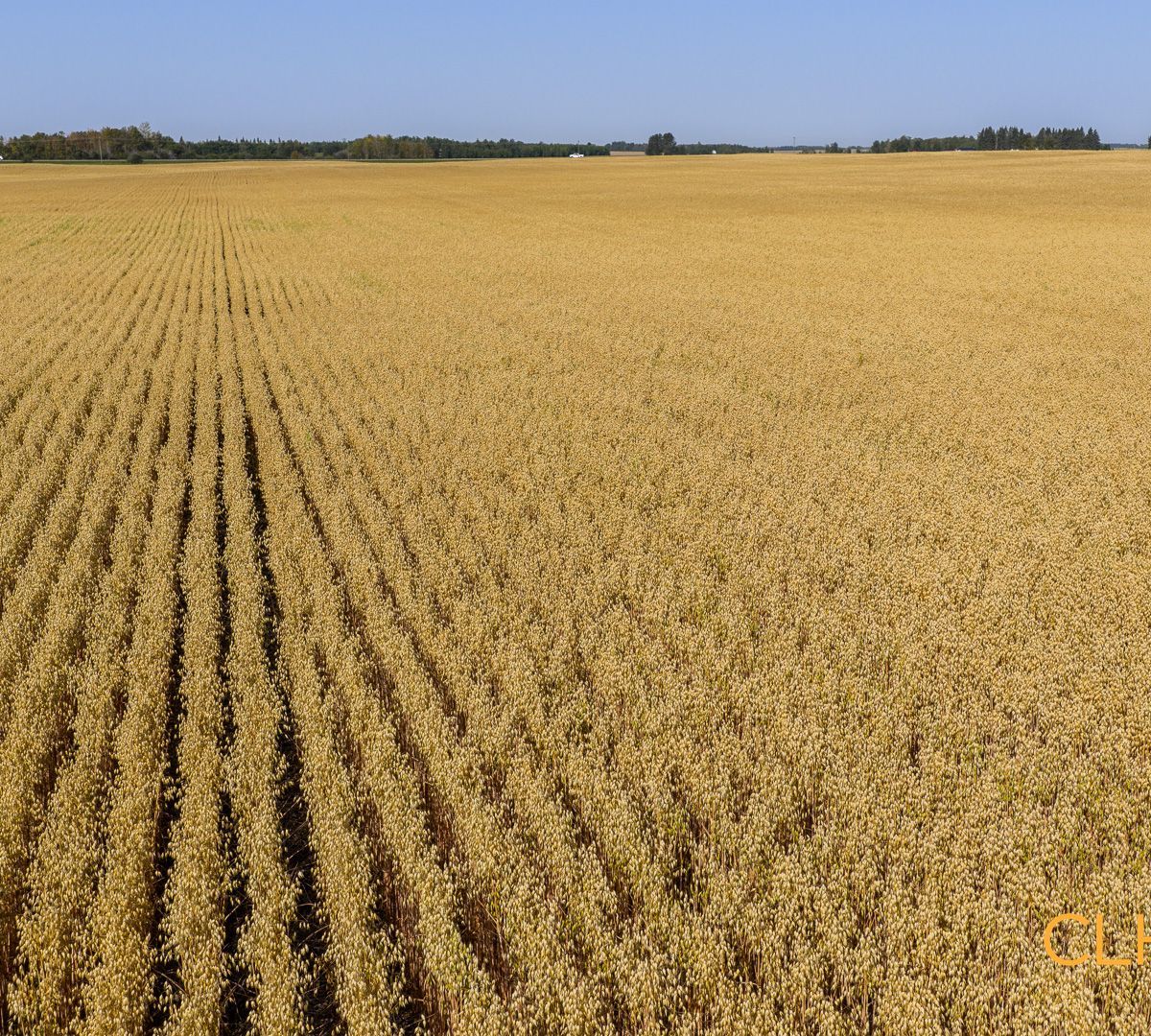 Selling Online Oct 22, 2025 - 157 Acres - Lamont County, AB