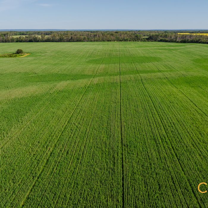Selling Online Oct 14, 2025 - 725 Acres - Brownvale, AB