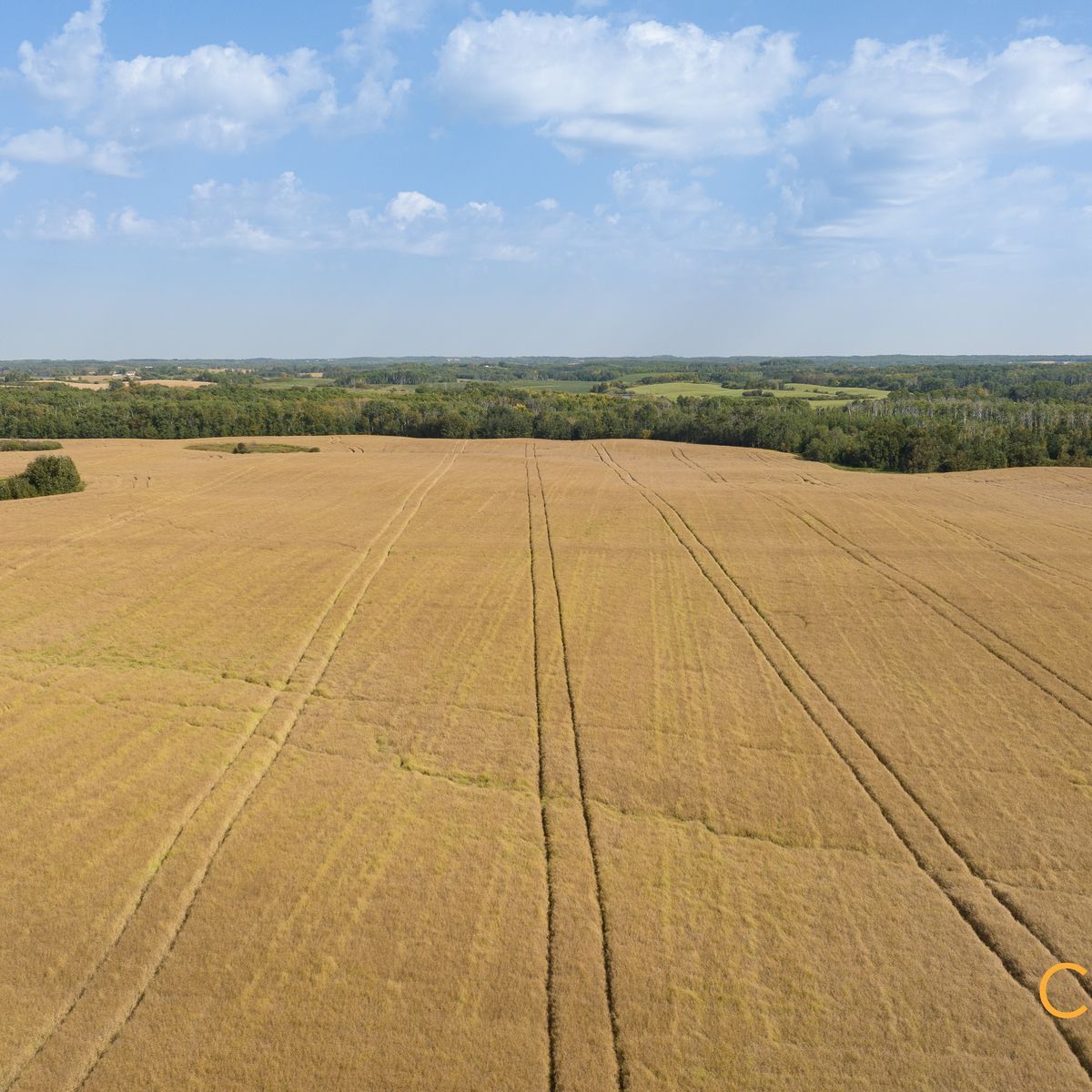 Selling Online Nov 12, 2025 - 241 Acres - Rossburn, MB