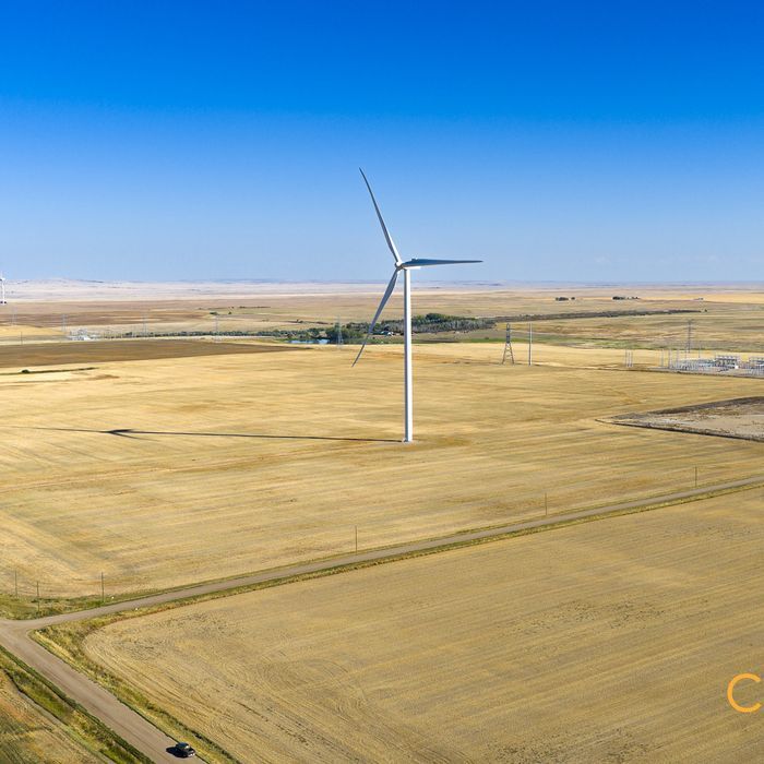 Selling Online Oct 23, 2025 - 213 Acres - Bow Island, AB