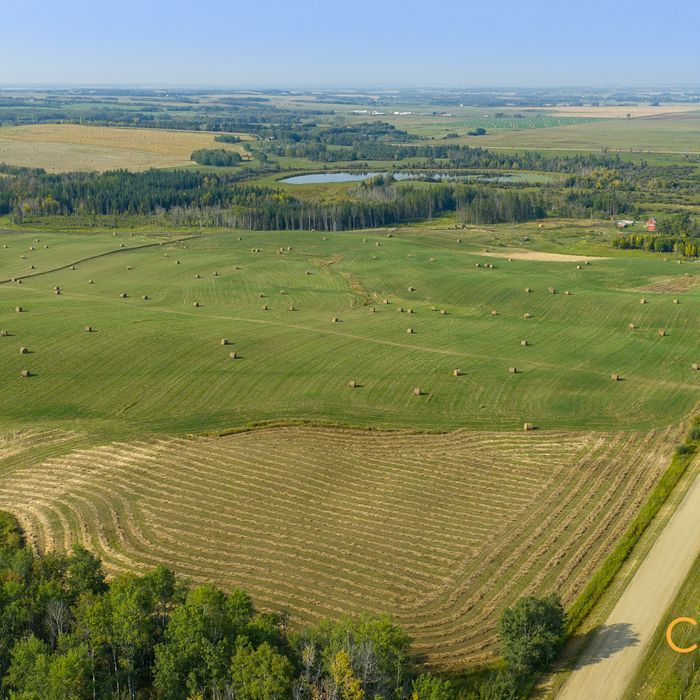 Selling Online Oct 29, 2025 - 161 Acres - Sangudo, AB