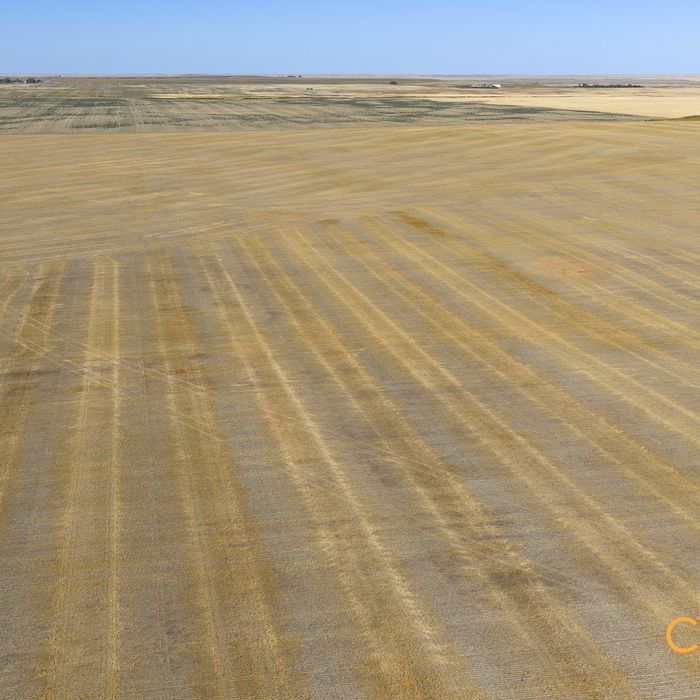 Selling Online Oct 14, 2025 - 638 Acres - Bow Island, AB