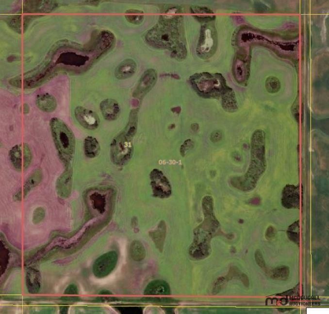 RM of Storthoaks #031 - SE 31-06-30 W1 (162 Acres) - Crown Land Sale