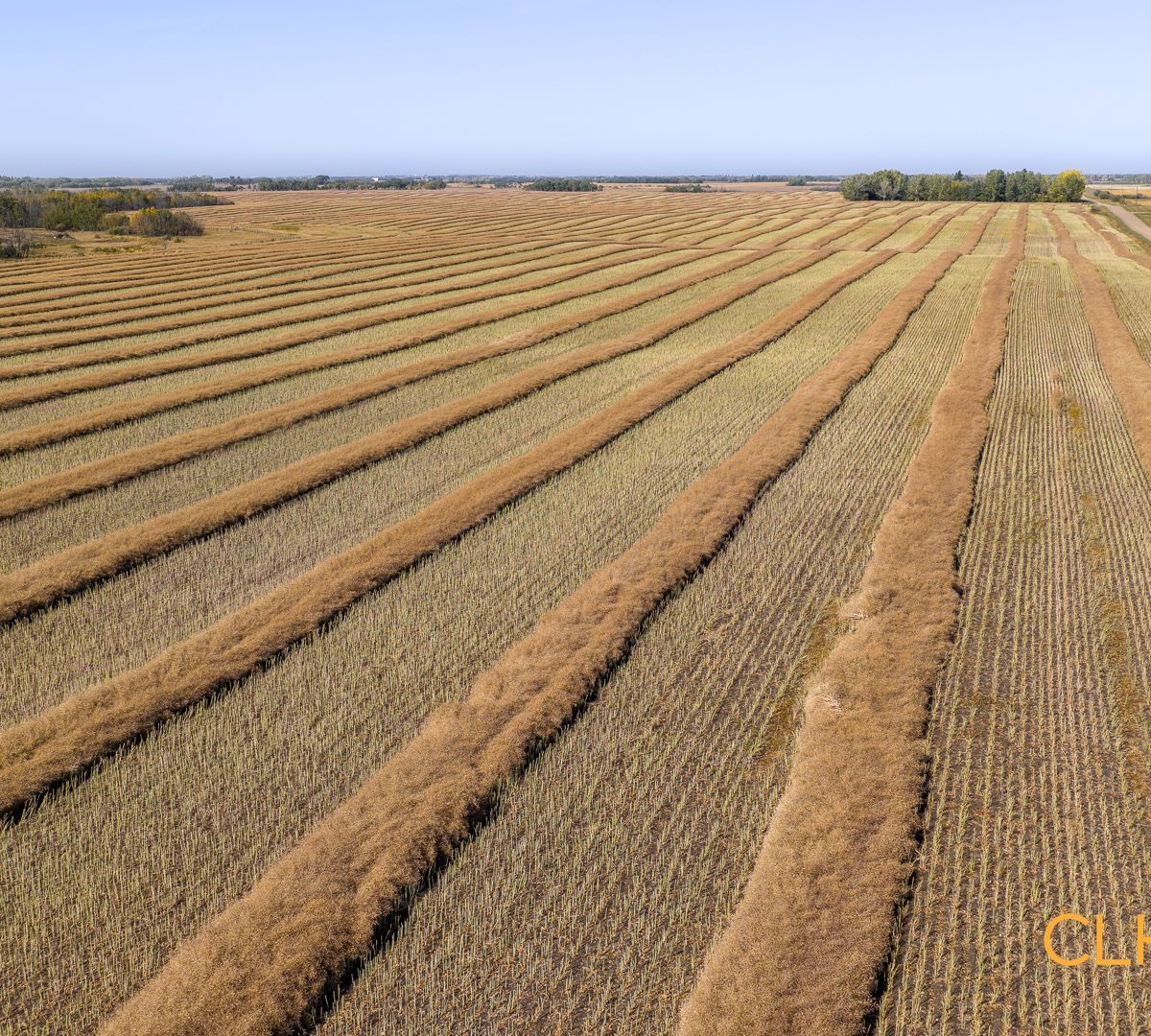 Selling Online Nov 17, 2025 - 139 Acres - Camrose, AB