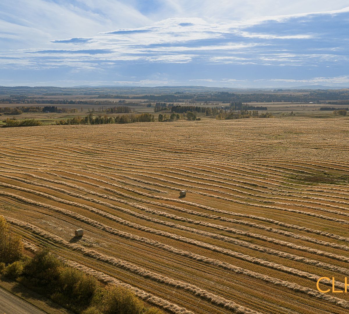 Selling Online Dec 9, 2025 - 159 Acres - Rimbey, AB