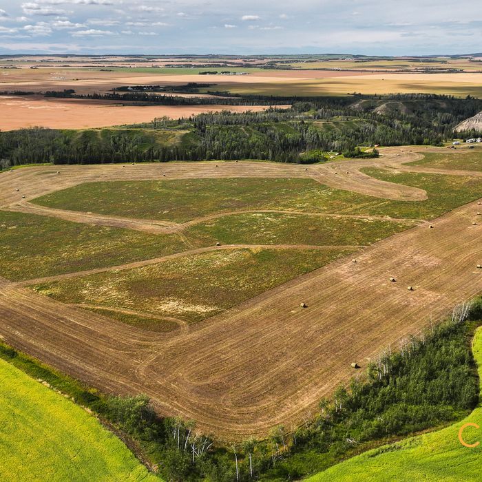 Selling Online Dec 16, 2025 - 160 Acres - Rolla, BC