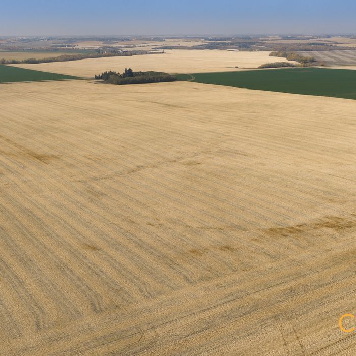 Selling Online Feb 4, 2026 - 235 Acres - Edmonton, AB