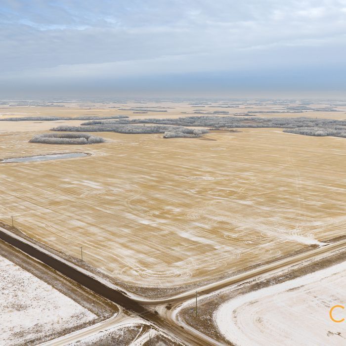 Selling Online Feb 10, 2026 - 317 Acres - Forestburg, AB