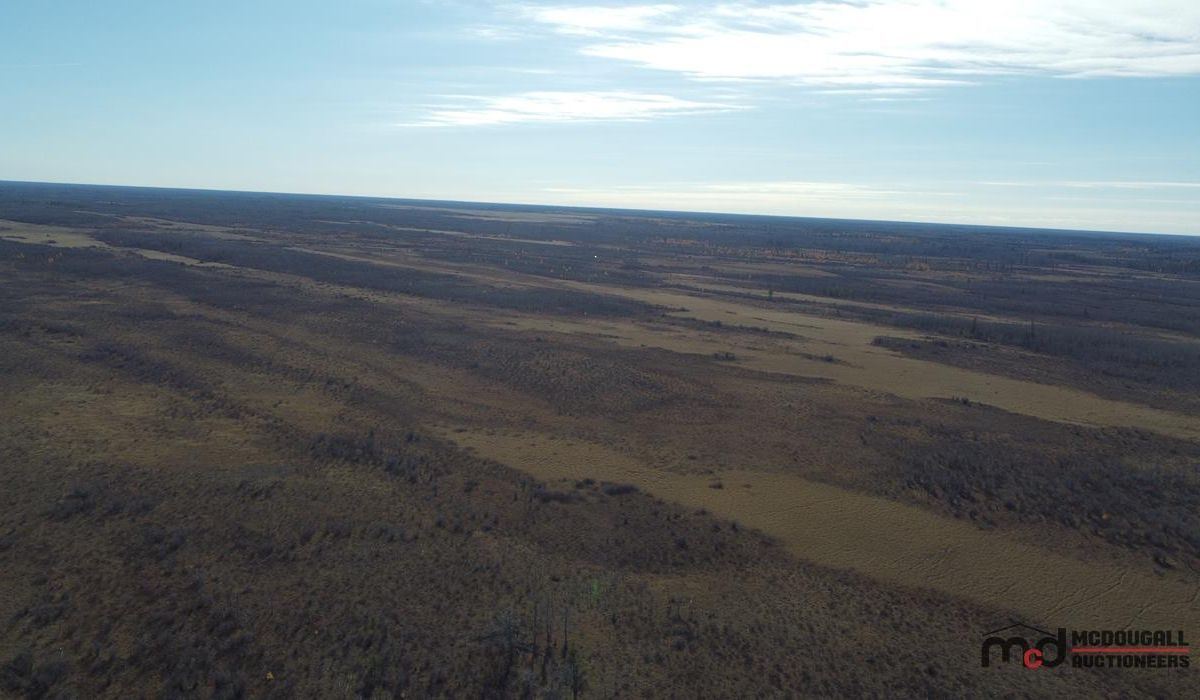 3 Quarters of Recreational Land Via Auction