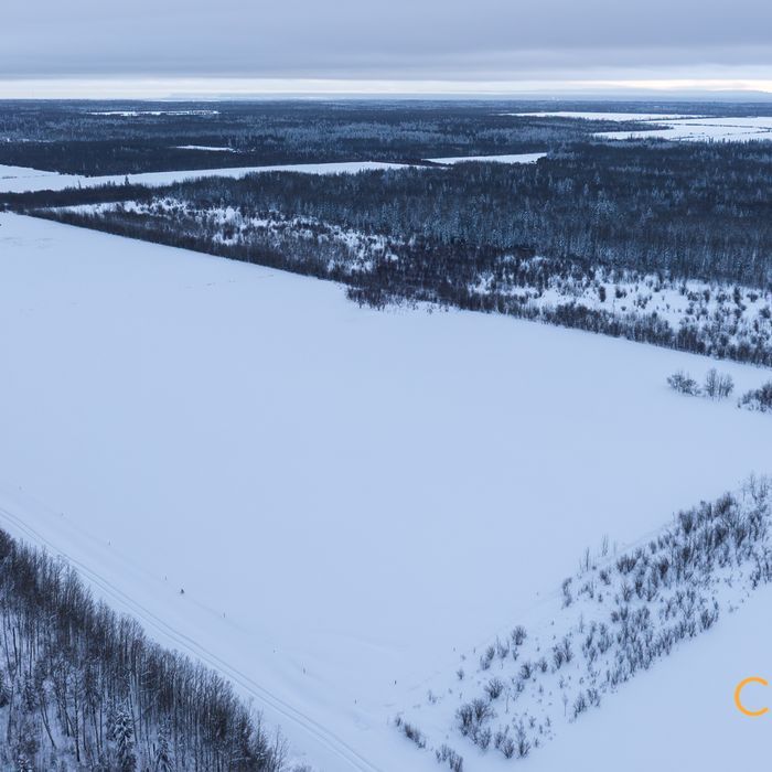 Selling Online February 10, 2026 - 480 Acres - Gordondale, AB 