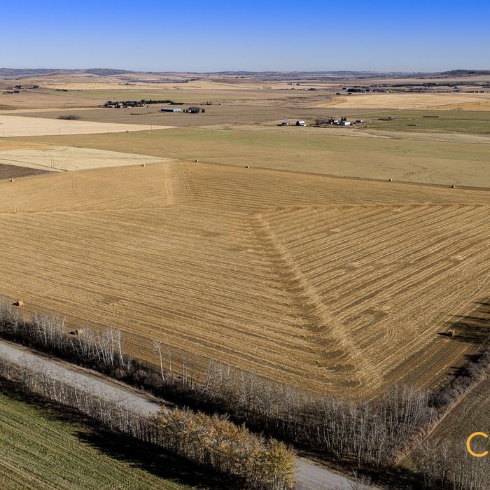 Selling Online February 11, 2026 - 299 Acres - Diamond Valley, AB