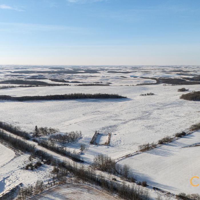 Selling Online Feb 17, 2025 - 158 Acres - Dewberry, AB