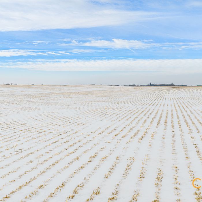 Selling Online March 3, 2026 - 1,103 Acres - Kipling, SK