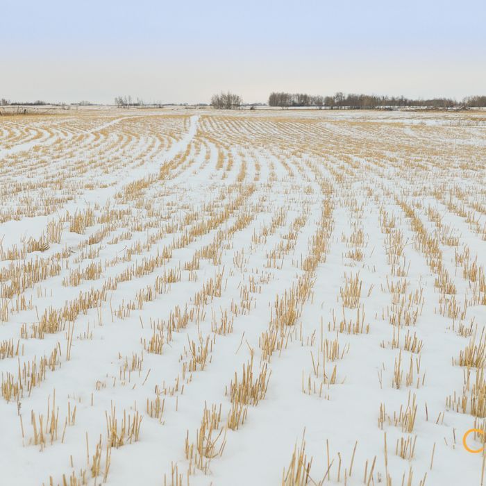 Selling Online  March 10, 2026 - 153 Acres - Reston, MB