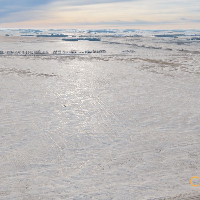 Selling Online March 24, 2026 - 303 Acres - New Norway, AB