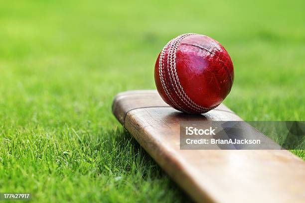 Attention Sports Entrepreneurs & Developers!  🏏 ~18 Acres